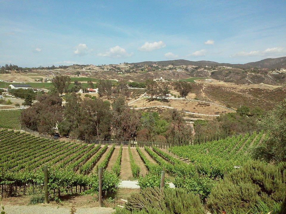 Temecula Acompanantes