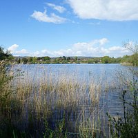 Petersfield Lake