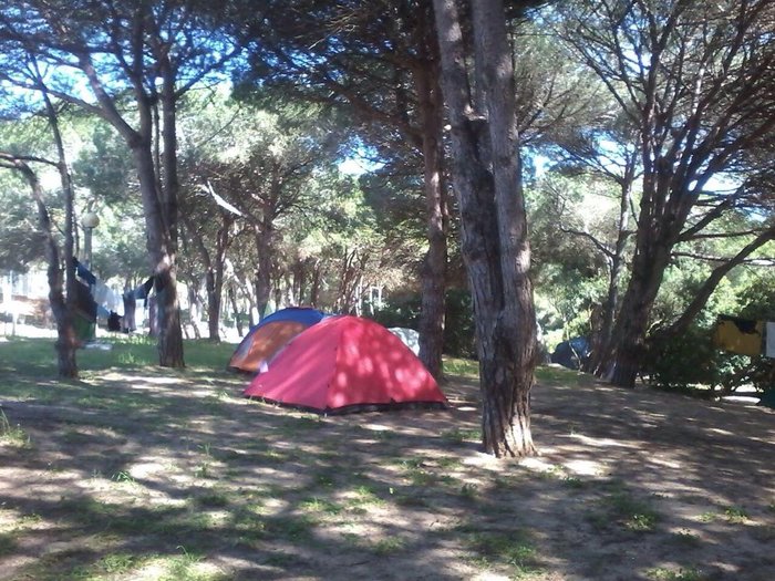 Imagen 9 de Camping Camaleon