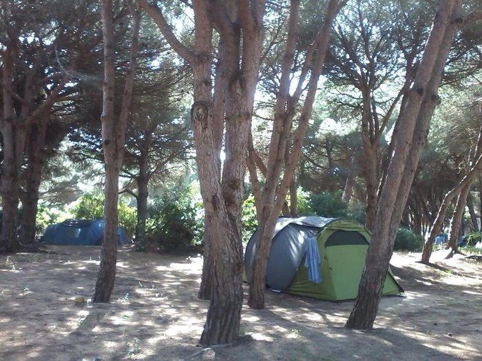 Imagen 8 de Camping Camaleon