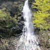 Things To Do in Tendaki Falls, Restaurants in Tendaki Falls
