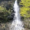 Things To Do in Tendaki Falls, Restaurants in Tendaki Falls