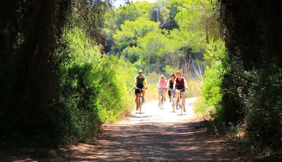 VISIT ALBUFERA PASEOS EN BARCA Y RUTAS EN BICI Valencia Qu