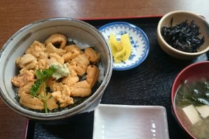 料理