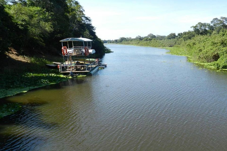Argo - Ecoturismo no Pantanal Sul image