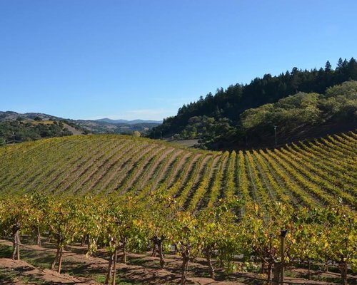 THE 15 BEST Things to Do in Napa - 2023 (with Photos) - Tripadvisor