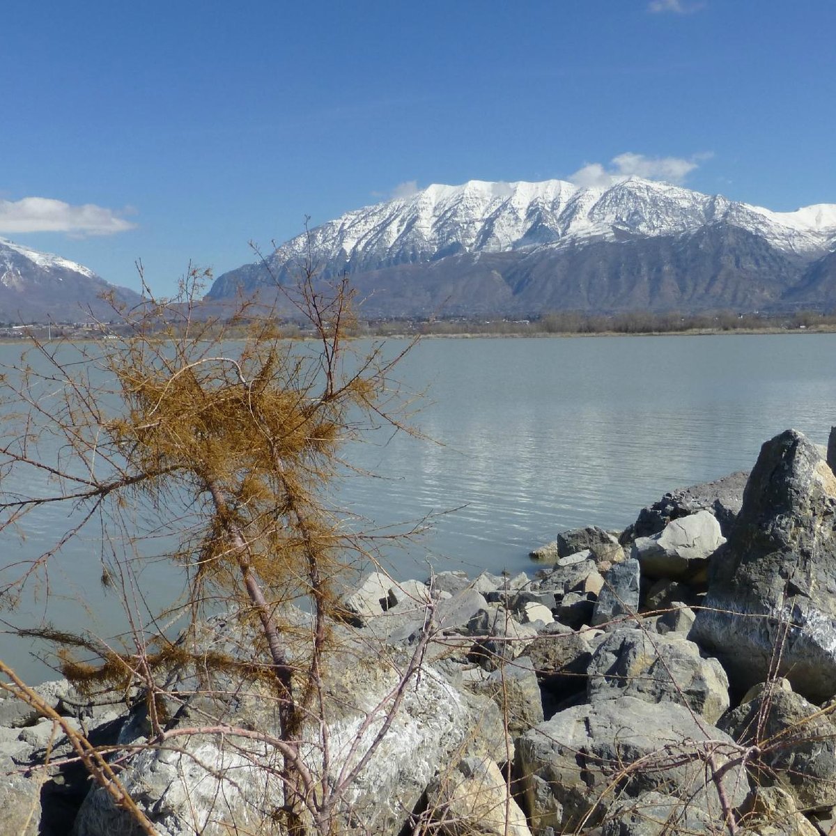 Utah Lake State Park Reviews