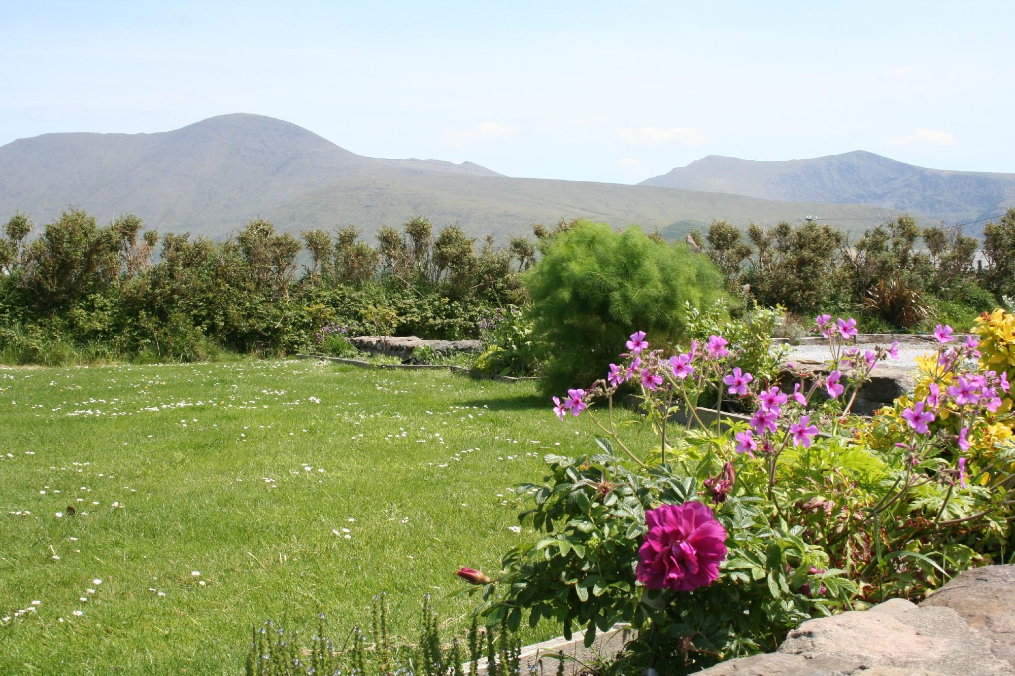 AN RIASC BED AND BREAKFAST Desde $2,870 (Ballydavid, Irlanda ...