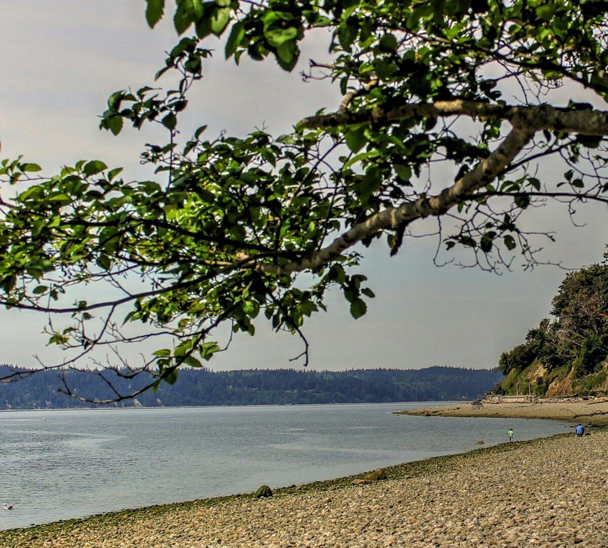 are dogs allowed at camano island state park