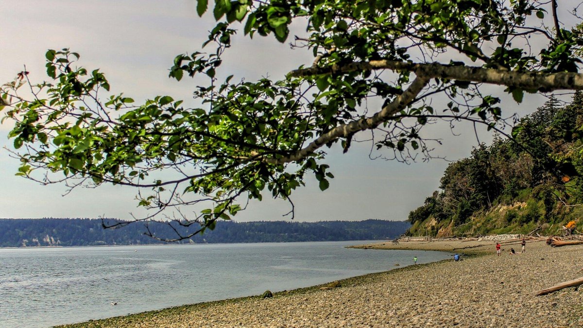 Camano Island State Park - All You Need to Know BEFORE You Go