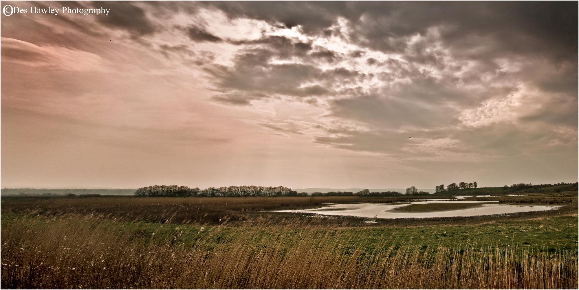 RSPB BURTON MERE WETLANDS All You Need to Know BEFORE You Go