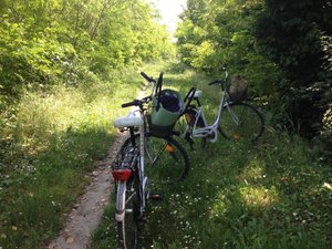 Viaggiatori
