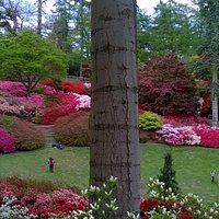The Punch Bowl in Valley Gardens in May