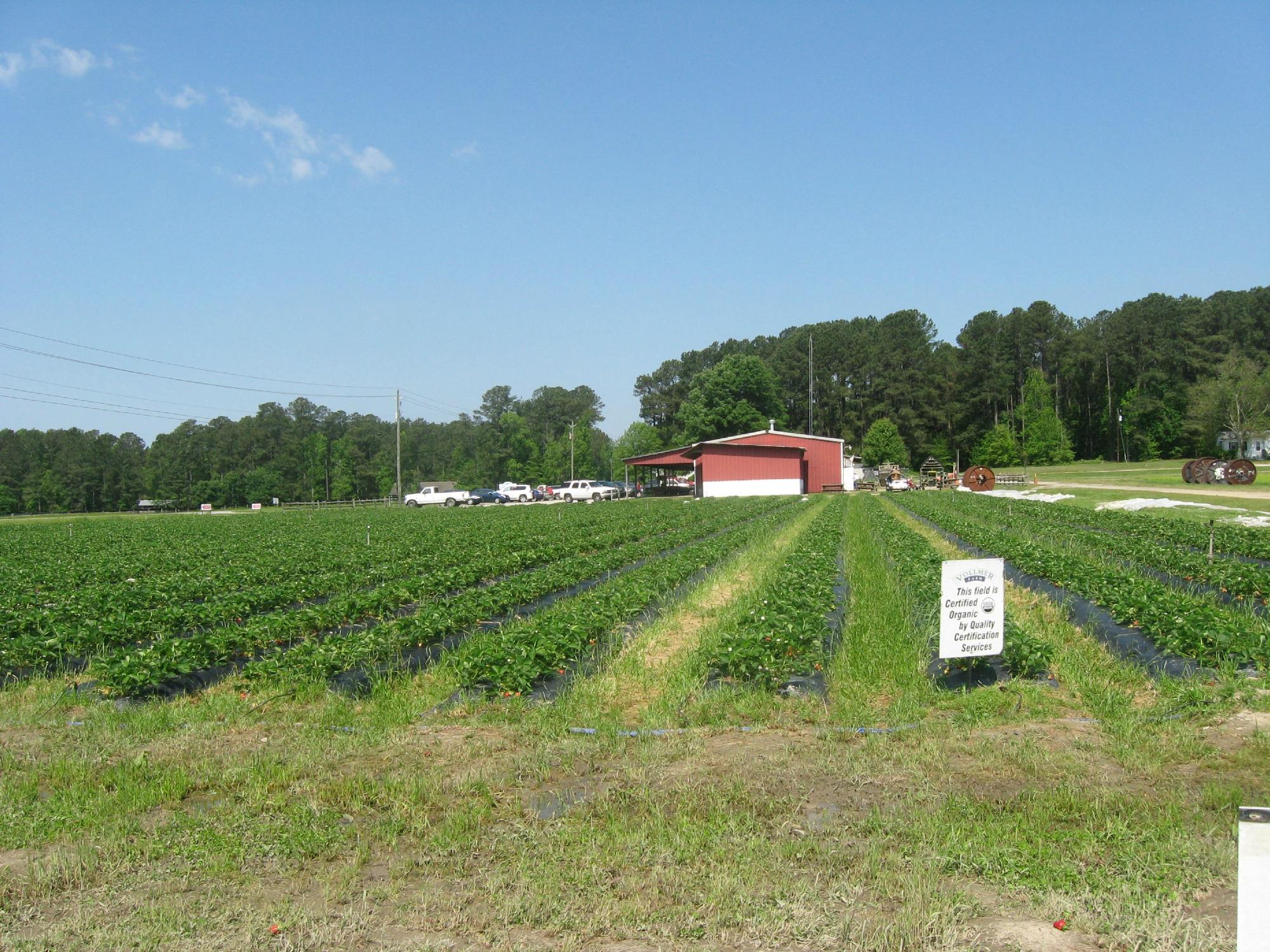 Vollmer farm deals