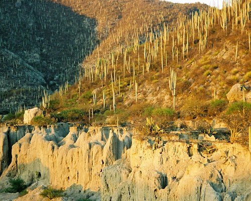 THE BEST Parks & Nature Attractions in Tehuacan - Tripadvisor