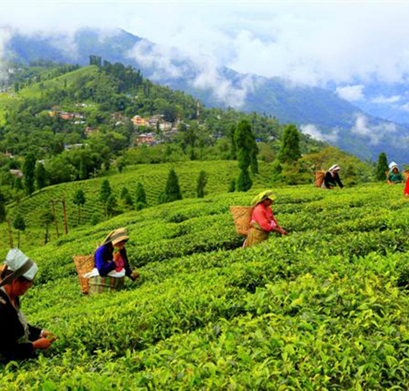 Mirik (Индия) 2024: все самое лучшее для туристов - Tripadvisor