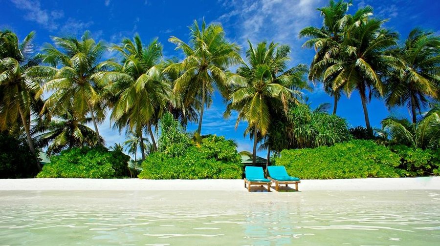 Beach view from lagoon