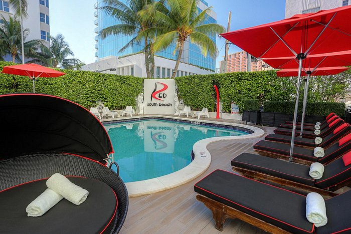 Hilse Ungkarl afsnit RED SOUTH BEACH HOTEL $133 ($̶1̶9̶9̶) - Updated 2023 Prices & Resort  Reviews - Miami Beach, FL