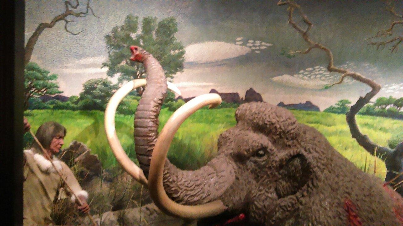 El Paso Museum of Archaeology - 엘 파소 - El Paso Museum of Archaeology의 리뷰 - 트립어드바이저