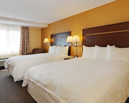 Book Red Roof Inn Georgetown In Georgetown Hotels Com