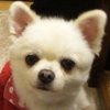 miki6116