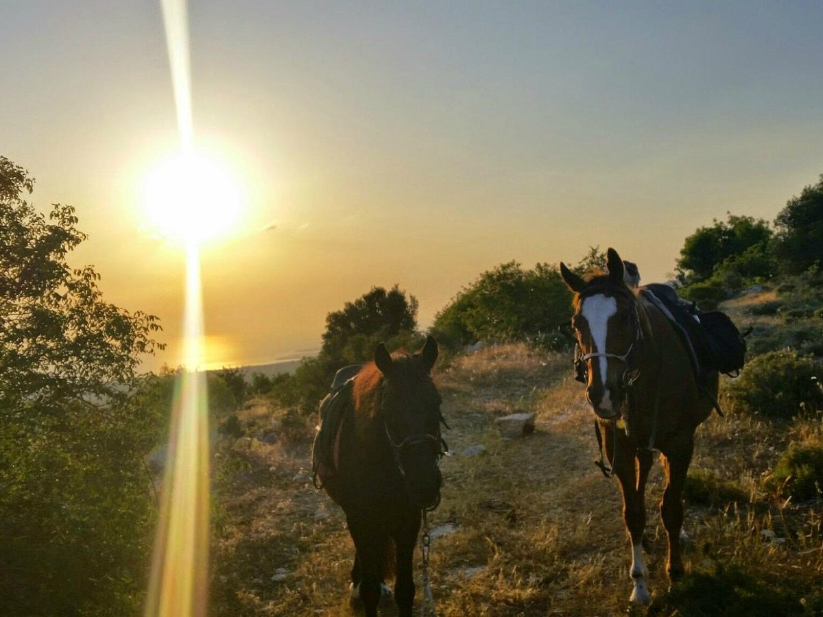 Horse Riding Paphos - Eagle Mountain Ranch, Пафос: лучшие советы перед  посещением - Tripadvisor