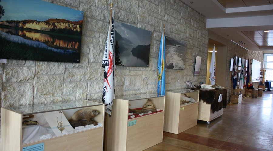 Displays inside