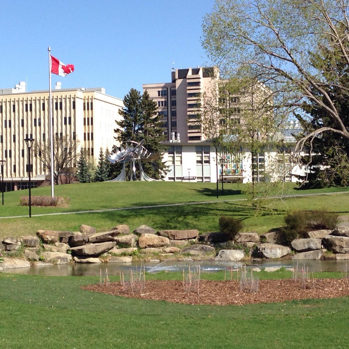 University of Calgary (Canada) anmeldelser Tripadvisor