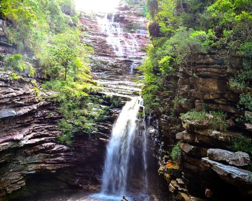 Help in the farm and nursery activities in Chapada Diamantina, Bahia