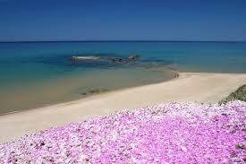 mare sud Sardegna 