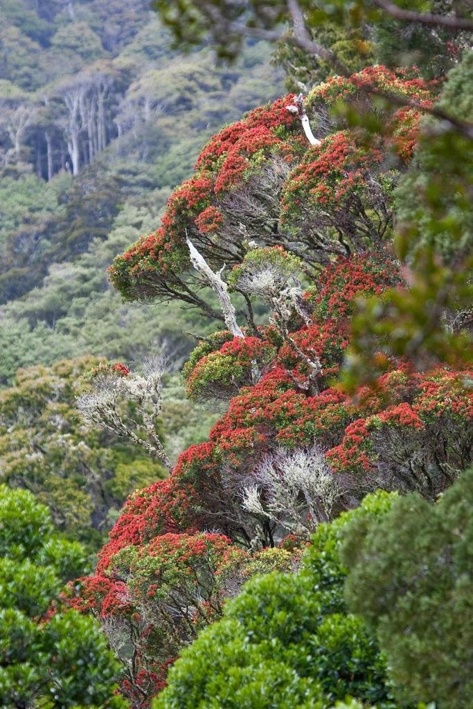 Pakuratahi Forest - Upper Hutt - Pakuratahi Forest의 리뷰 - 트립어드바이저