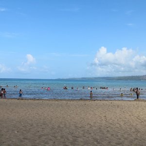 the view of the beach