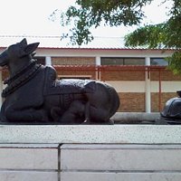 Beautiful Nandi at Entrance