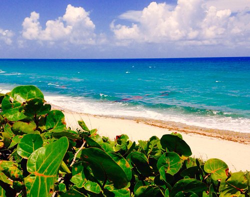 Your 3-Day Guide to The Palm Beaches' Top Sights
