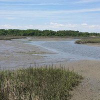 Low Tide in the Marsh