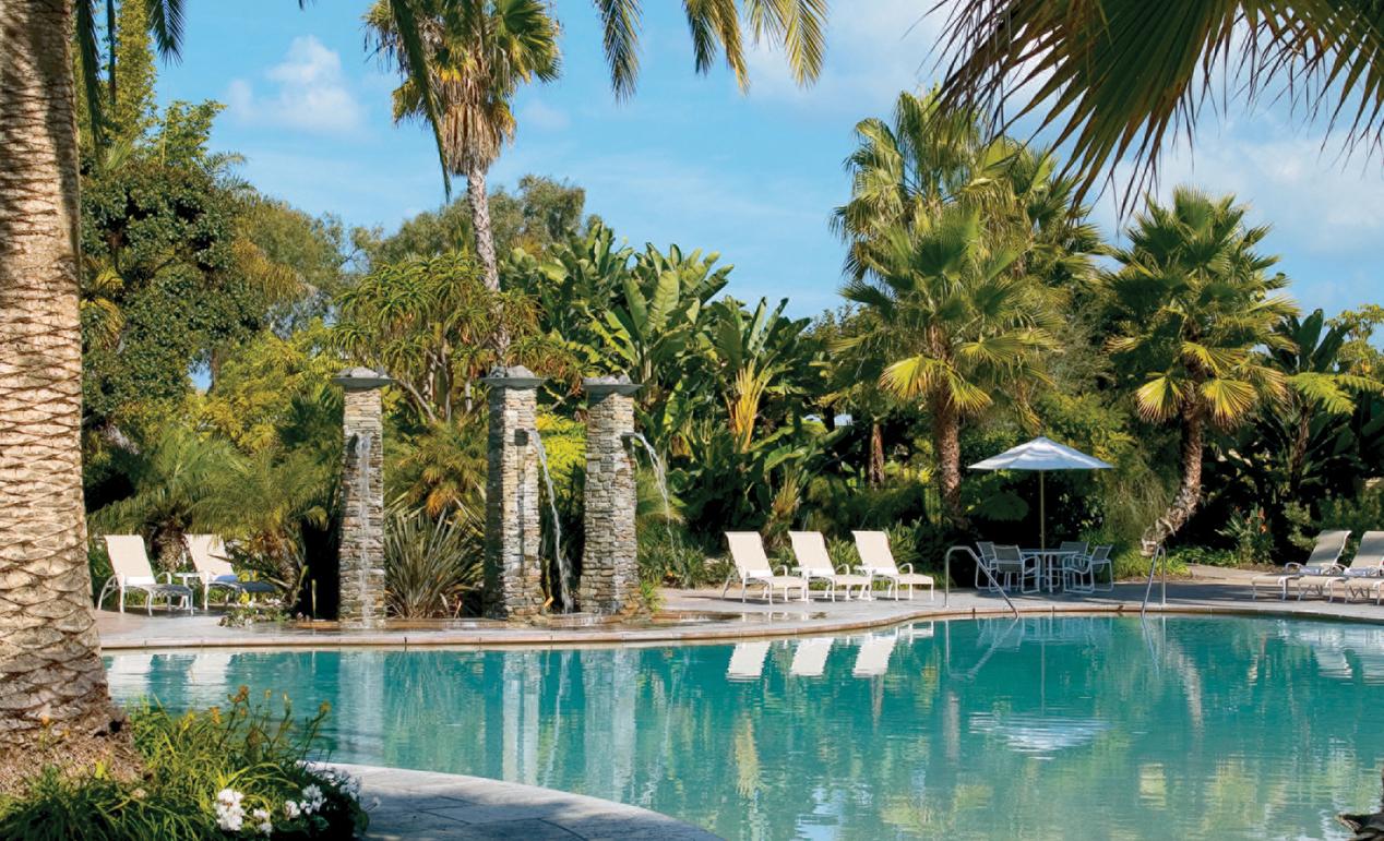 Hotel photo 31 of Paradise Point Resort & Spa.
