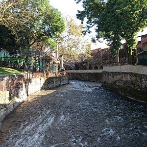 Expo Parque de los Dinosaurios (Orizaba) - All You Need to Know BEFORE You Go Expo Parque de los Dinosaurios (Orizaba) - All You Need to Know BEFORE You Go