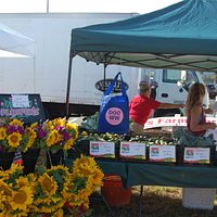 Beautiful Fresh Cut Flowers! Get there early for a DOO WW Bag!