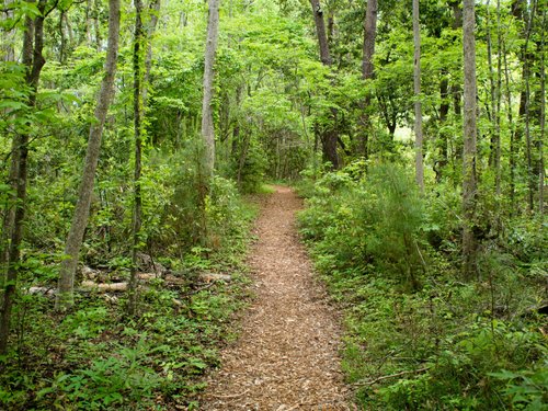 Kill Devil Hills 2021: Best of Kill Devil Hills, NC Tourism - Tripadvisor