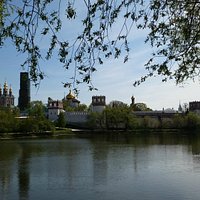 Вид на Новодевичий монастырь