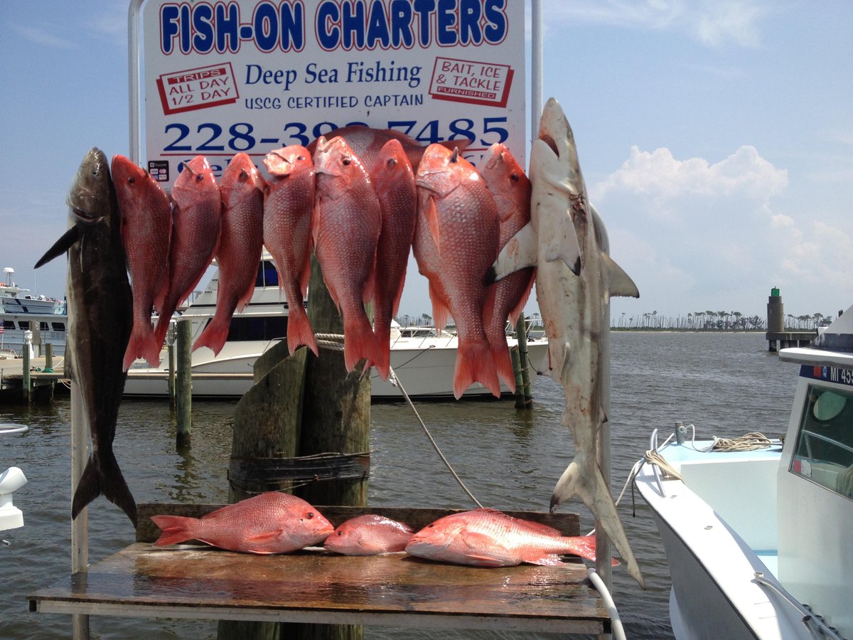 Fish-On Charters - All You Need to Know BEFORE You Go (2024)