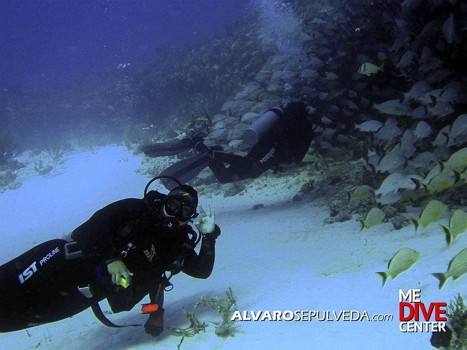 me dive center playa del carmen