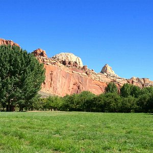 Wizard bouwer Mew Mew Fruita Schoolhouse (Capitol Reef National Park) - All You Need to Know  BEFORE You Go