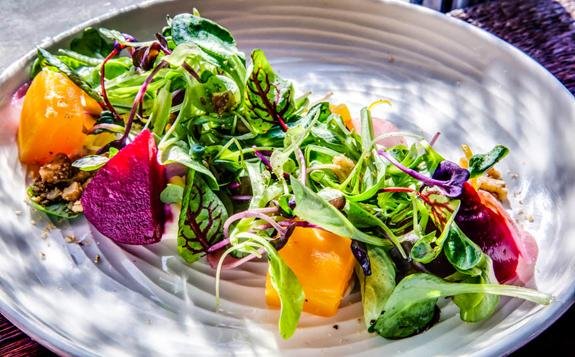Beet Salad-Robiola cheese, spiced walnuts & market beets