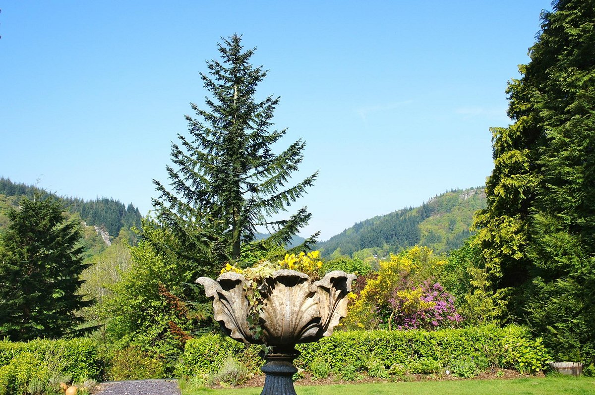 Tyn Y Fron Country House And Cottage Updated 2022 Prices And Bandb Reviews Betws Y Coed Wales 