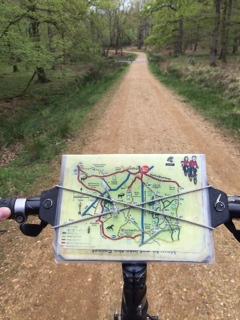 aa bike hire new forest