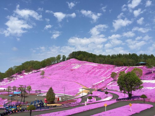 大空町でイチ押し 大人数で楽しめる観光スポット トリップアドバイザー