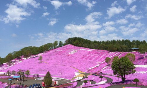 大空町 旅行 観光ガイド 22年 トリップアドバイザー