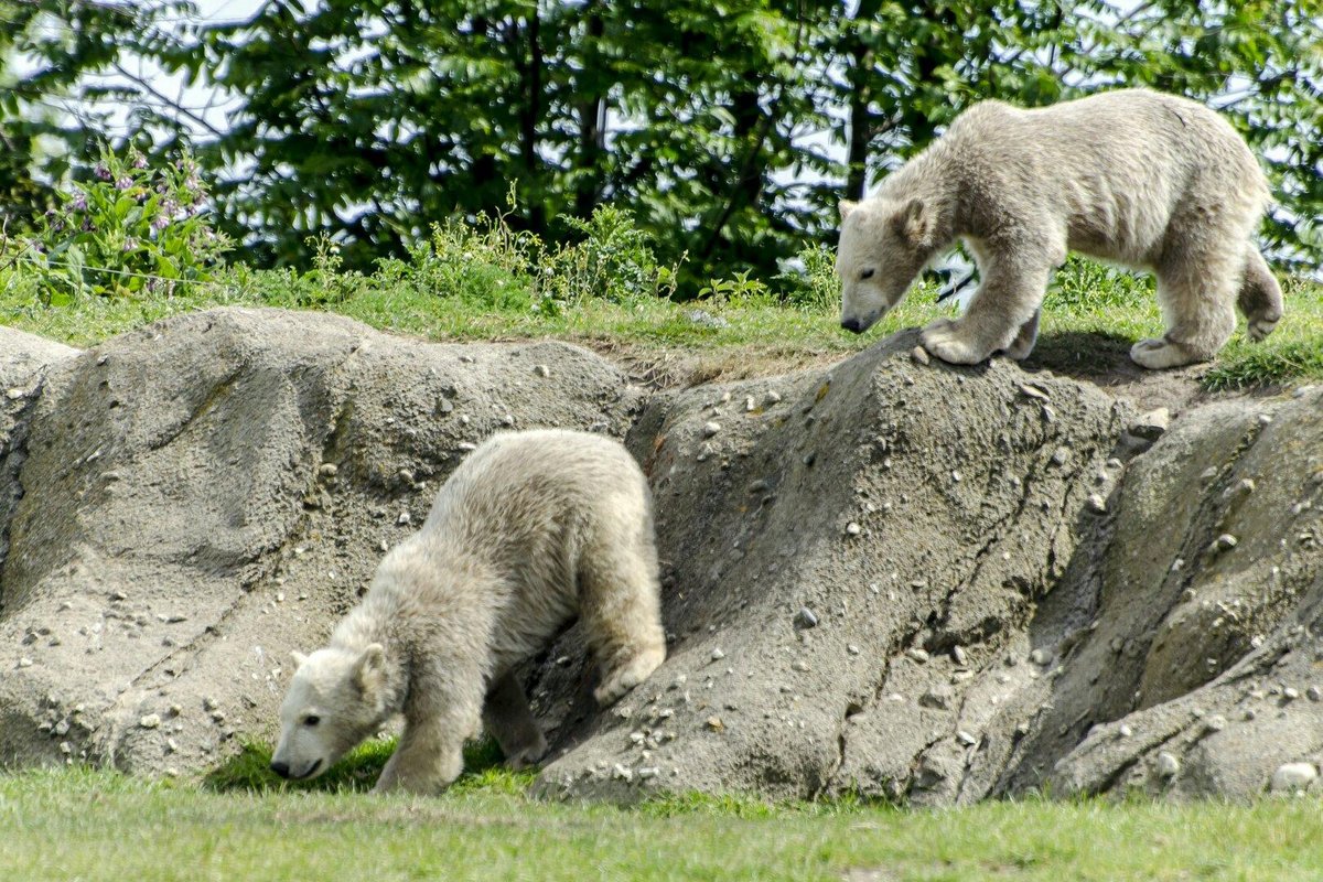 Rotterdam Zoo - All You Need to Know BEFORE You Go (with Photos)