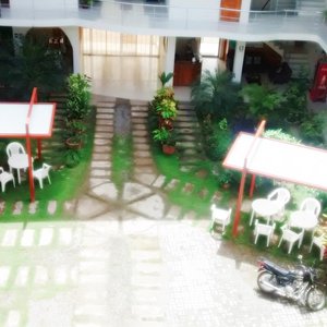 Áreas verdes del Hotel